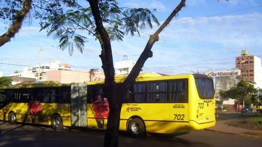 En pocos días, San Juan sacará a la calle el primer colectivo gusano