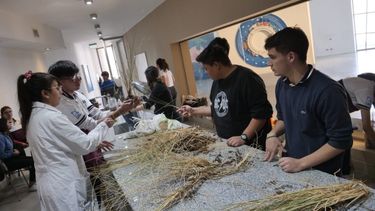 Alumnos de tres escuelas realizan sus prácticas profesionalizantes en Anchipurac