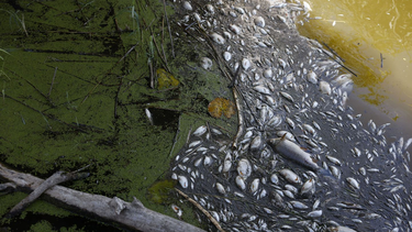 Foto: Odd ANDERSEN / AFP