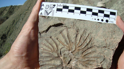 En 2025 se firmó un convenio entre la Municipalidad de Jáchal, la Cámara de Turismo de Jáchal y el Instituto de Investigación en el Centro de Investigaciones en Ciencias de la Tierra (CICTERRA- Universidad Nacional de Córdoba) para desarrollar conjuntamente el potencial geoturístico de Jáchal con miras a la proposición de un geoparque mundial ante la UNESCO en el mediano-largo plazo. En 2025 se firmó un convenio entre la Municipalidad de Jáchal, la Cámara de Turismo de Jáchal y el Instituto de Investigación en el Centro de Investigaciones en Ciencias de la Tierra (CICTERRA- Universidad Nacional de Córdoba) para desarrollar conjuntamente el potencial geoturístico de Jáchal con miras a la proposición de un geoparque mundial ante la UNESCO en el mediano-largo plazo.