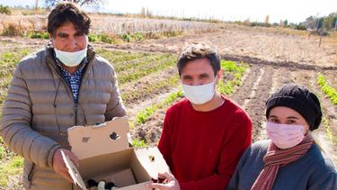 En San Martín, entregaron 1500 pollitas a las familias