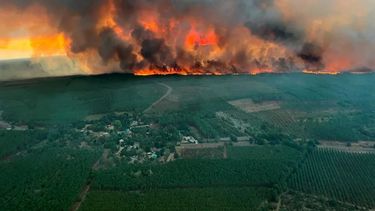 Los incendios están causando mucho daño en distintos puntos de Francia. Foto: Clarín