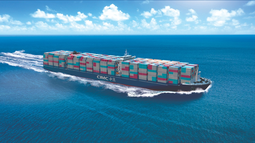 CIMC Wetrans, impulsando la apertura al comercio exterior como un camino hacia la excelencia