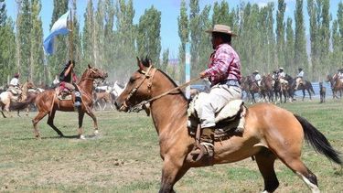 Gran convocatoria en el festival de doma y folclore en Iglesia
