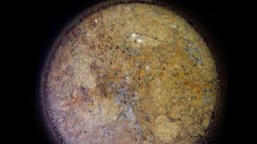 Posibles rastros de vida en Marte: Perseverance detecta biofirmas antiguas