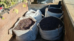 Imagen ilustrativa Imagen ilustrativa