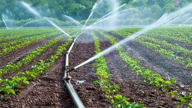 Charla sobre riego para productores en Sarmiento