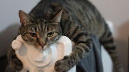 El día más frío del año: arrancamos con -6,5ºC