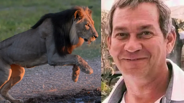 Estaba en un safari de lujo, fue al baño y lo mató un león