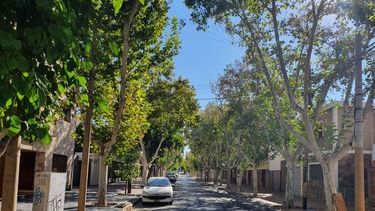 Con el frío a la vuelta de la esquina, mirá cómo estará el tiempo este jueves en San Juan Con el frío a la vuelta de la esquina, mirá cómo estará el tiempo este jueves en San Juan