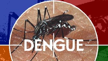 Aconsejan a quienes viajen al exterior extremar cuidados para prevenir el dengue