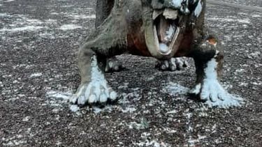 Así quedó el Parque Ischigualasto después de la nevada