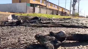 Los tres adolescentes fueron encontrados calcinados en una calle de Montevideo, Uruguay.