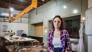 La mente brillante detrás de los últimos grandes hallazgos de dinosaurios sanjuaninos