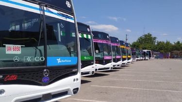 Desde el 4 de diciembre: lo que hay que tener en cuenta para entender la RedTulum