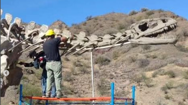 El dinosaurio que sorprende en la Ruta 150 se lavó la cara y espera un mellizo