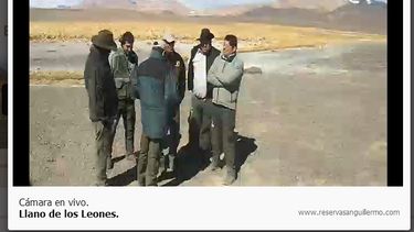 Del corazón de San Guillermo al mundo: una cámara ya trasmite en vivo las 24 horas