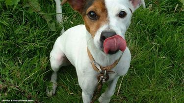 Nuevo lugar para el quirófano móvil de Rawson