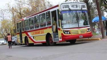 Maldonado: En la provincia el servicio de colectivos arrancará normal