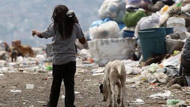Ciencia y tecnología contra el hambre: mirá los proyectos sanjuaninos que ganaron financiamiento