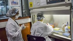Confirmaron el cuarto caso de coronavirus en San Juan, el primero de contagio local Confirmaron el cuarto caso de coronavirus en San Juan, el primero de contagio local