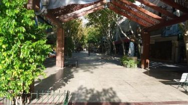 Así funcionarán los servicios para los feriados de carnaval