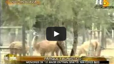 Conocé los atractivos del Parque Faunístico en el día del animal
