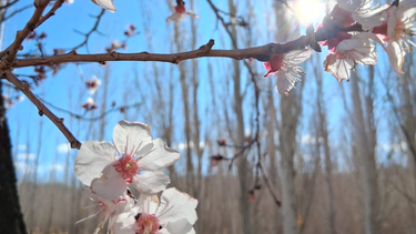La belleza de Puchuzún en primavera se distribuye por todos los rincones.