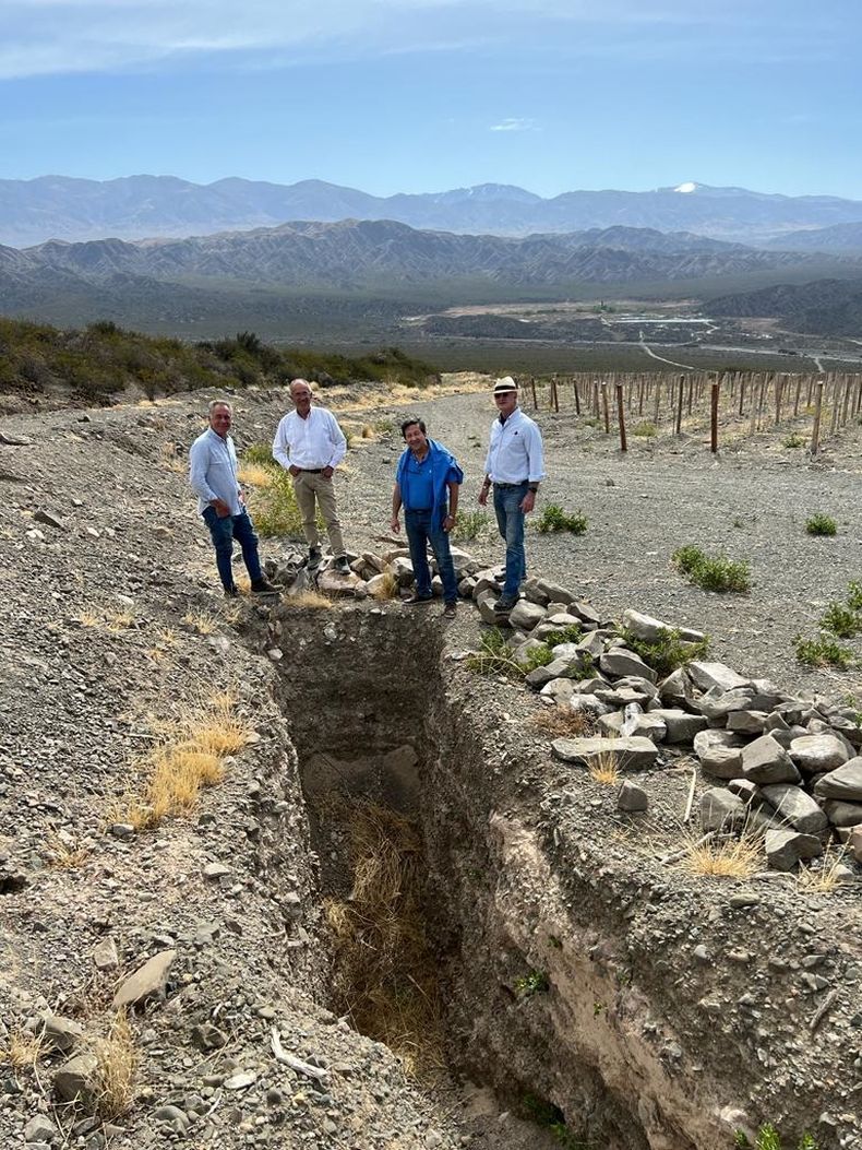 La Ciénaga, prometedora zona de Zonda: logró la Indicación Geográfica ...
