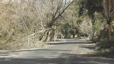 Sigue la probabilidad de viento Zonda y la máxima será de 29º