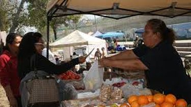 Llega a Chimbas el surtido económico de verduras