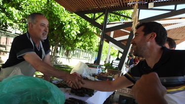 En fotos: lo que dejó una nueva Feria Agroproductiva, con la cerveza artesanal como protagonista