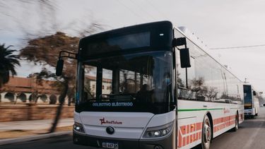 Mirá qué colectivo de la Red Tulum te lleva la Fiesta de la Tradición