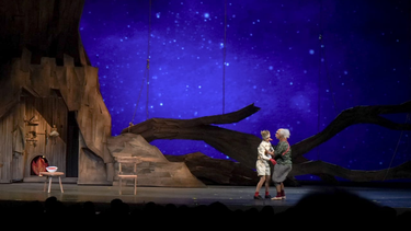 A sala llena, Pinocchio deleitó a grandes y chicos en el Teatro del Bicentenario