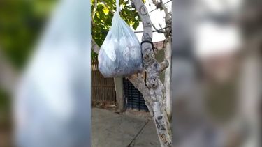Crueldad animal en Villa Krause: tiraron un gatito recién nacido en una bolsa de basura