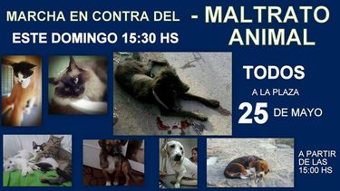 Con mascotas incluidas, marcharán contra el maltrato animal