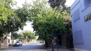 Domingo agradable: no habrá lluvias y hará calorcito