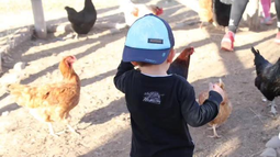 Opciones de granjas en San Juan para compartir el día con la familia y en contacto con la naturaleza.