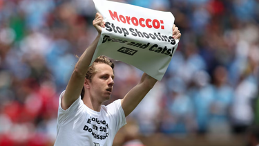 Aseguran que en Marruecos hay masacre de perros callejeros, para limpiar las calles de cara al Mundial 2030