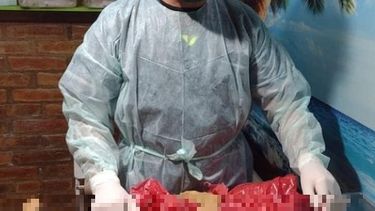 El viral más doloroso: aseguran que torturaron hasta matar a una perrita en Concepción