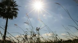 La máxima alcanzará los 30º en el arranque de semana