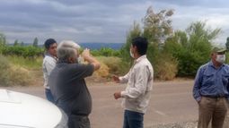 Productores afectados por el granizo: deben denunciar las pérdidas para ser asistidos