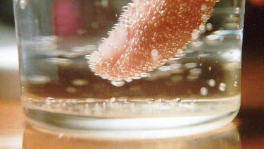 Expertos de Harvard señalaron al té y al café como dos bebidas muy sanas a la par del agua.