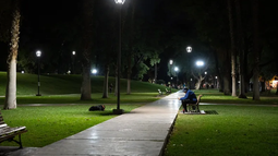 Una familia fue sorprendida por tres ratas en el Parque de Mayo. Una familia fue sorprendida por tres ratas en el Parque de Mayo.