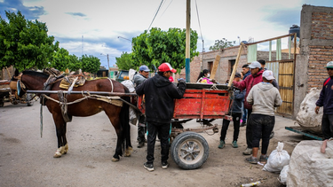 La tracción a sangre volvió a generar polémica en San Juan y dejó al desnudo el alquiler de caballos y carretelas.