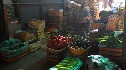 Actividad en el Mercado Concentrador de Rawson por las fiestas