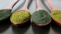 Espirulina, el alimento ideal para llegar en forma al verano