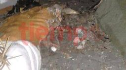 Se cayó el Cristo de Valle Fértil