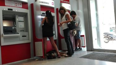 Video: el perro que se convirtió en un cliente más en un cajero de San Juan