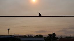 El humo de los incendios en Australia, ¿llegó a San Juan?